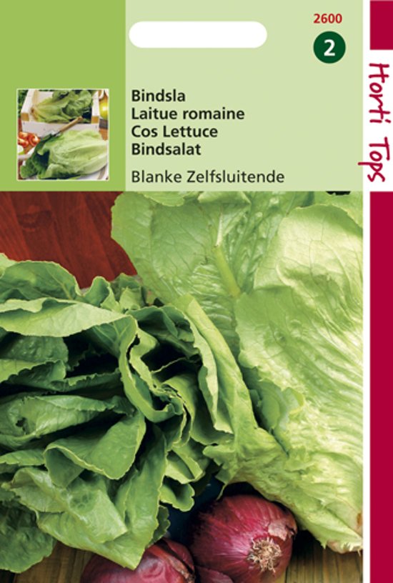 Romaine lettuce Paris White